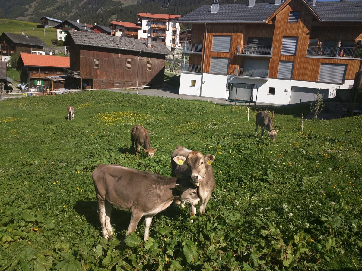 Casa Acazia Lägenhet Breíl Exteriör bild